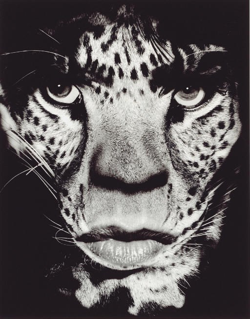 ALBERT WATSON (b.1942)
