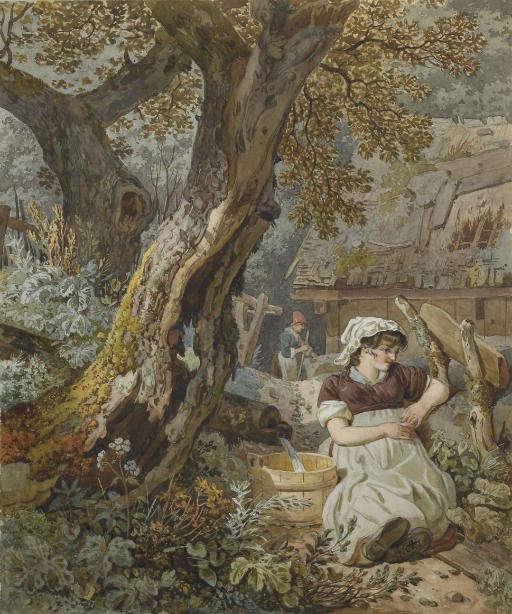WOLFGANG-ADAM TOEPFFER (1766-1847)