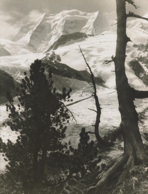 ALBERT STEINER (1877-1965)