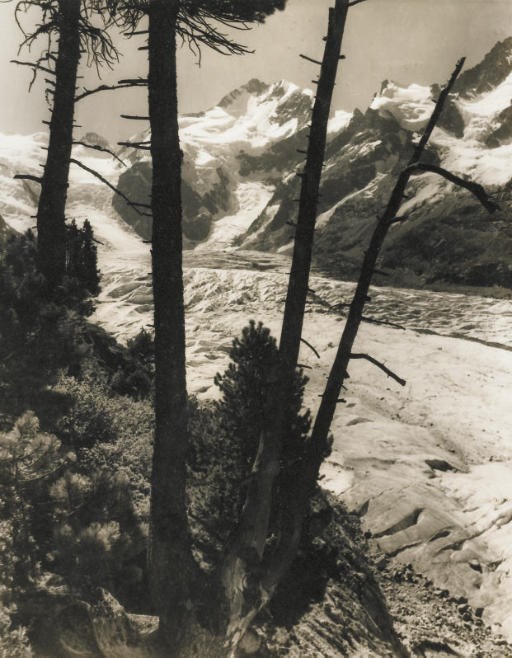 ALBERT STEINER (1877-1965)