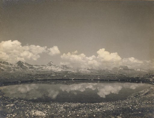 ALBERT STEINER (1877-1965)