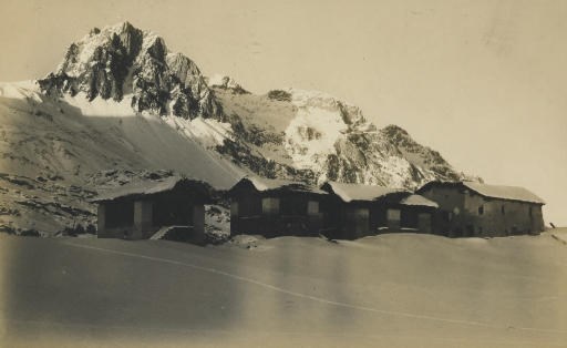ALBERT STEINER (1877-1965)
