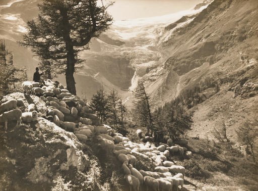 ALBERT STEINER (1877-1965)