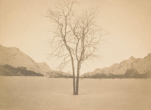 ALBERT STEINER (1877-1965)