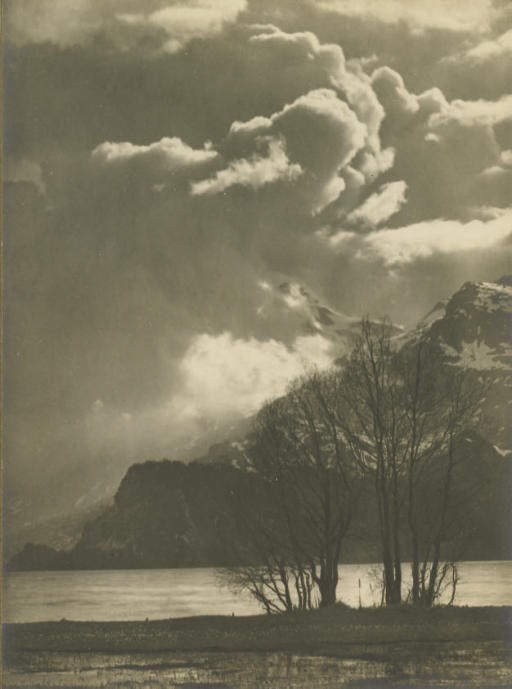 ALBERT STEINER (1877-1965)