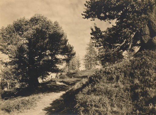 ALBERT STEINER (1877-1965)