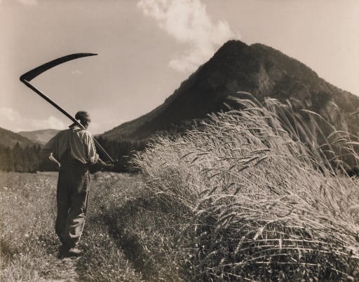 ALBERT STEINER (1877-1965)