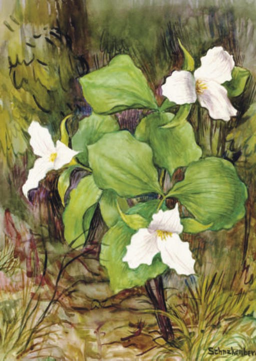 Henry Ernest Schnakenberg (American, 1892-1970)