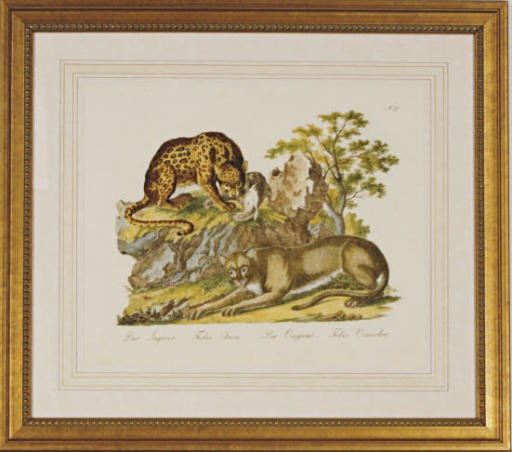 Innocente Alessandri (Active 18th Century)