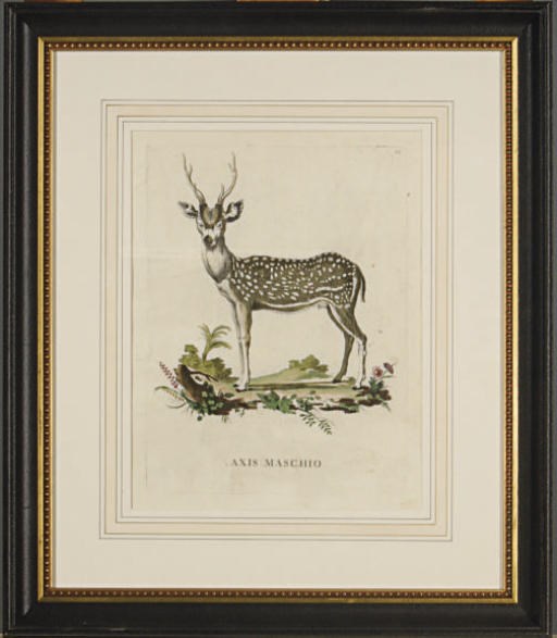 After Karl Joseph Brodtmann (1787-1862)