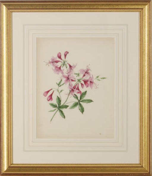 CLARISSA W. BADGER (Active 19th Century)