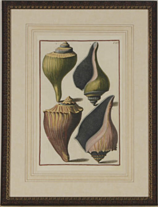 NICCOLO GUALTIERI (1688-1744), ANTONIO PAZZI (1706-1768), and AFTER GIUSEPPE MENABUONI (1708-1745)