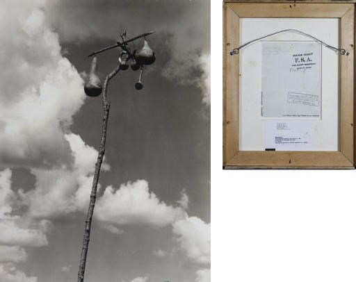 WALKER EVANS