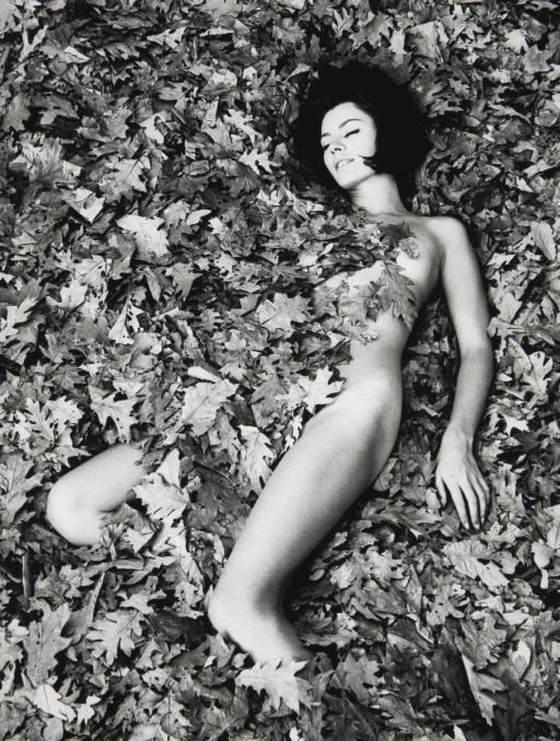 WINGATE PAINE