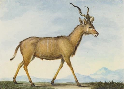 Nicolas II Huet (Paris 1770-1828)