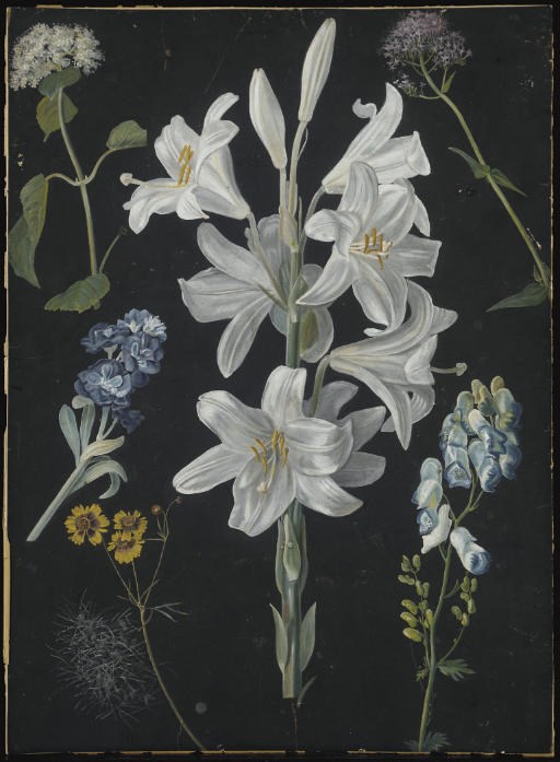 ENTOURAGE DE MARGARETHA REGINA DIETZSCH (NUREMBERG 1716-1795)