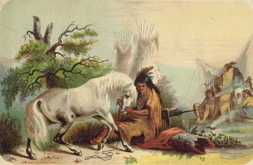 MILLER, Alfred J., illustrator. -- WEBBER, Charles Wilkins. (1819-1856). Wild Scenes and Song Birds.. illustrated with... colored lithographs, drawn by Mrs. C.W. Webber and Alfred J. Miller. New York: George P. Putnam & Co., 1854.