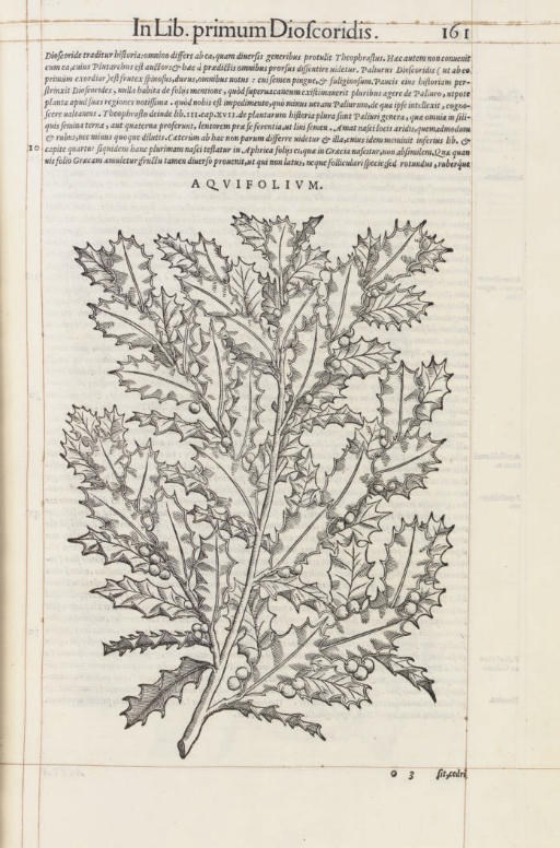MATTIOLI, Pietro Andrea (1500-1577). Commentarii in sex libros Pedacii Dioscoridis Anazarbei de medica materia. Venice: Vincenzo Valgrisi, 1565.