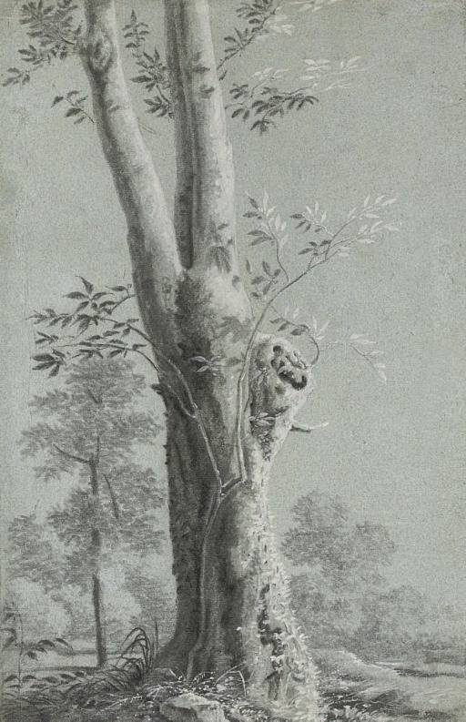 Attributed to Bernardino Minozzi (Bologna 1699-1769)