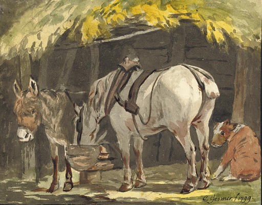 Johann Conrad Gessner (Zurich 1764-1826)