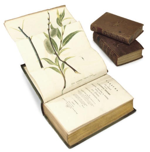 WADE, Walter. Salices or an Essay towards a General History of Sallows, Willows, and Osiers, their uses, and best methods of propagating and cultivating them