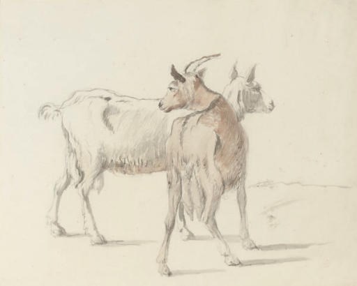 Coplestone Warre Bampfylde (1720-1791)