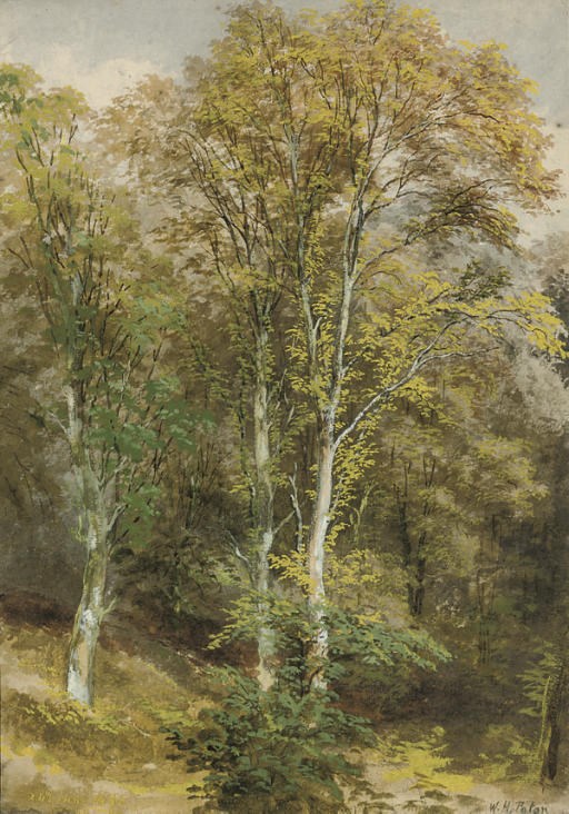 Waller Hugh Paton, R.S.A., R.S.W. (1828-1895)