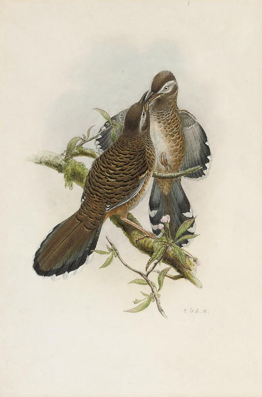 William Matthew Hart (1830-1908)