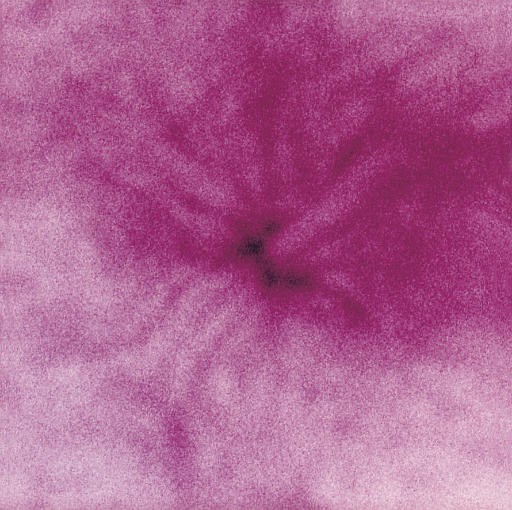 Noritoshi Hirakawa (b. 1960)