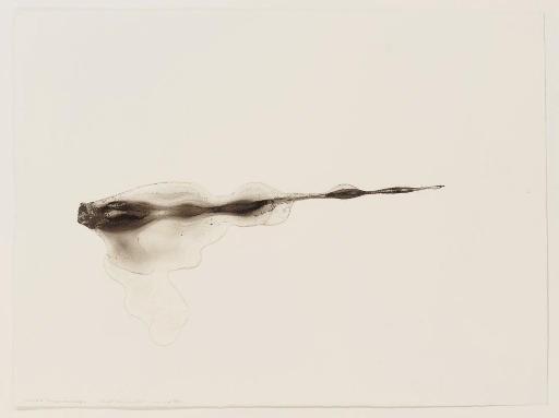 Andy Goldsworthy (b. 1956)
