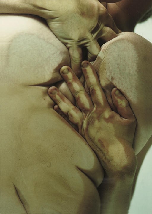 Jenny Saville (b. 1970)