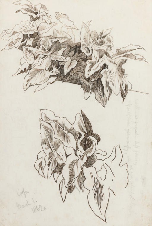 Edward Lear (1812-1888)