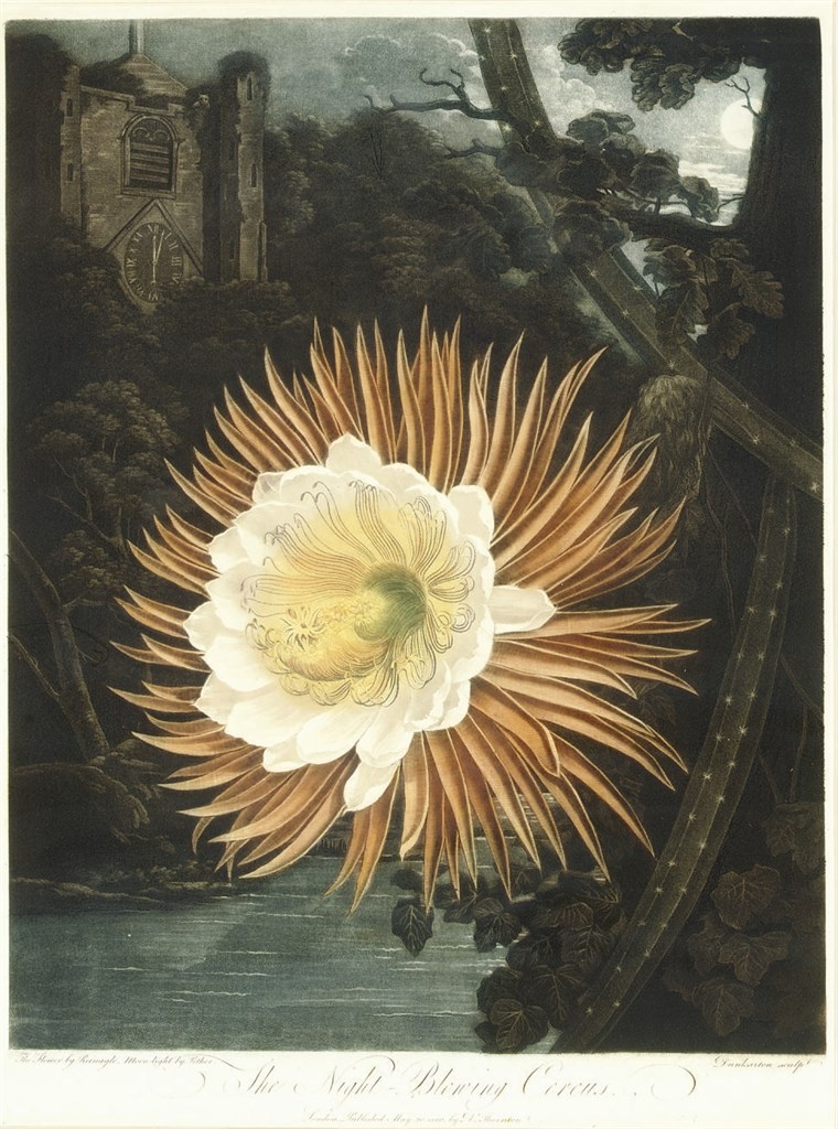 ROBERT JOHN THORNTON