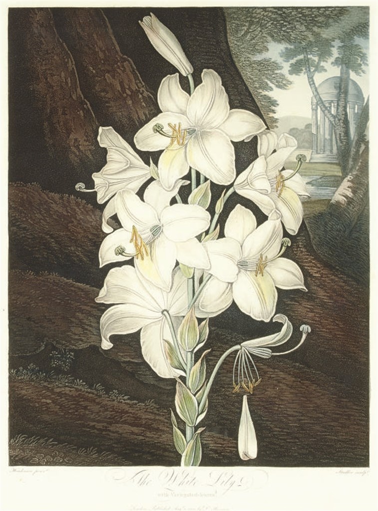 ROBERT JOHN THORNTON