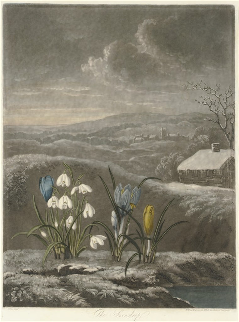 ROBERT JOHN THORNTON