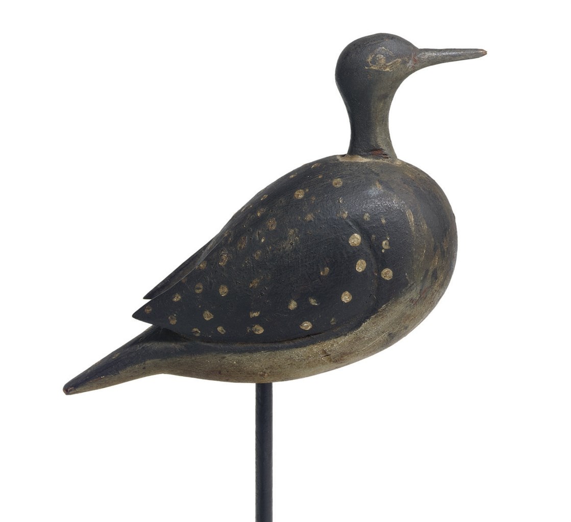Small Golden Plover