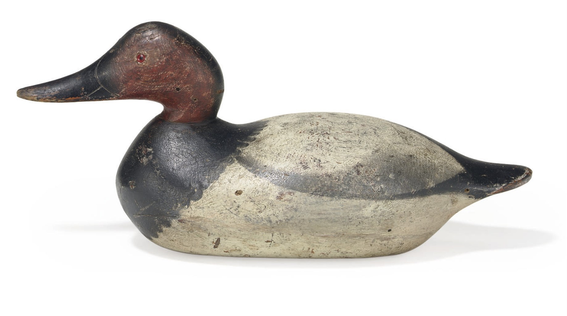 A CANVASBACK DRAKE