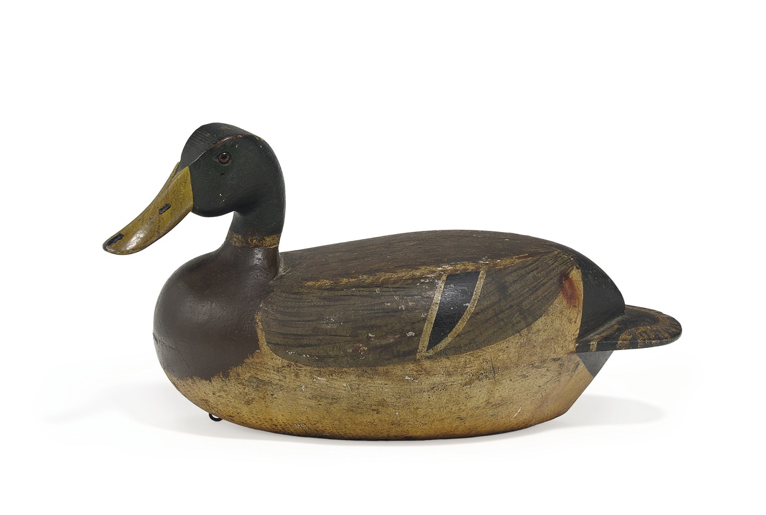 AN OVERSIZED MALLARD DRAKE