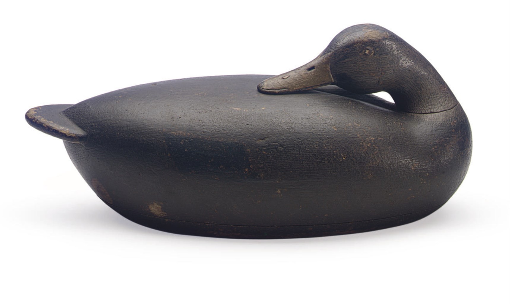 A Hollow Carved Preening Blackduck