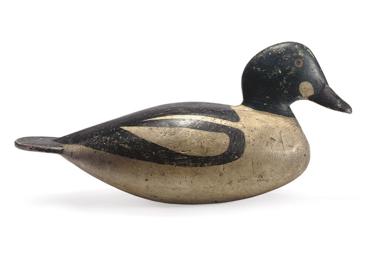 An Oversized Goldeneye Drake