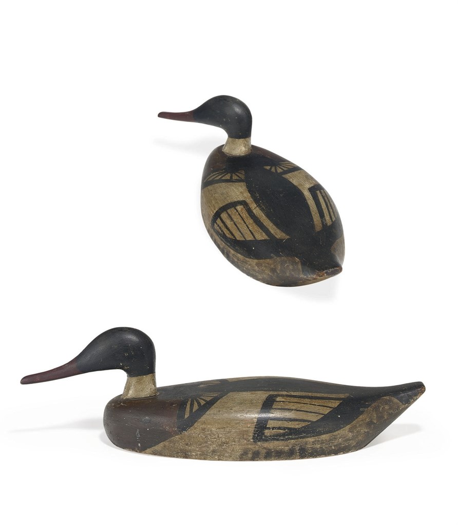 AN UNUSUAL RED-BREASTED MERGANSER DRAKE