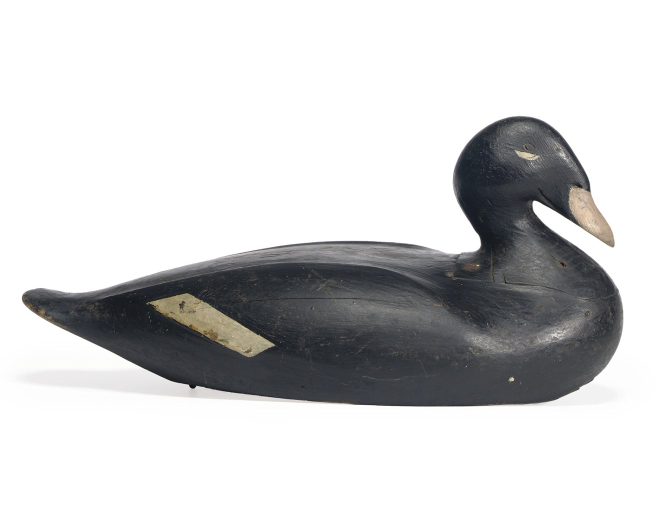 A WHITE WING SCOTER