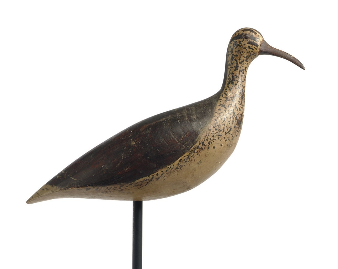 A Large Eskimo Curlew