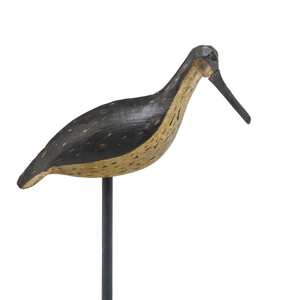 A Yellowlegs