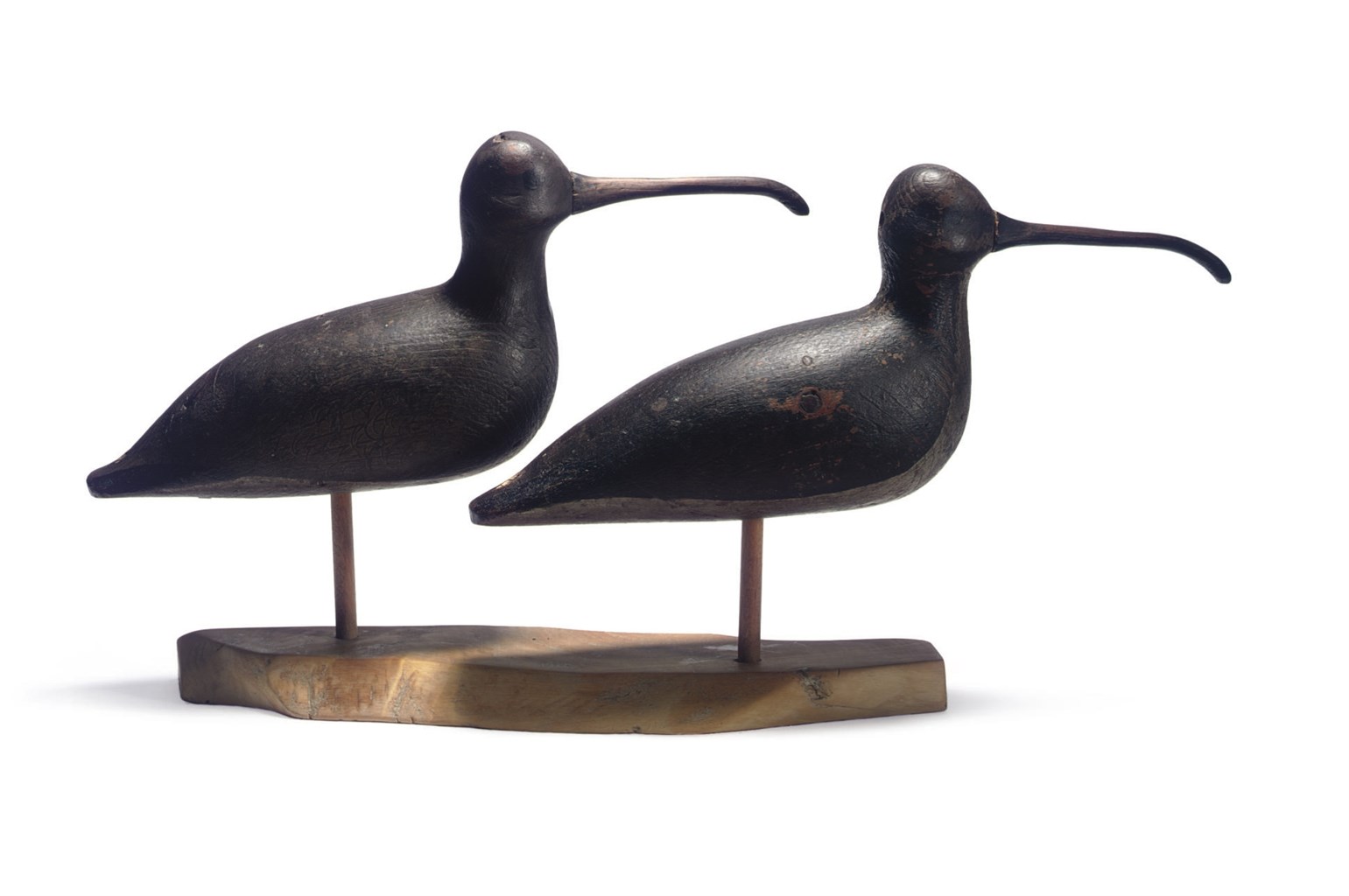 A Pair Of Curlew