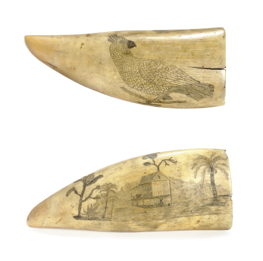 A SCRIMSHAW WHALE TOOTH