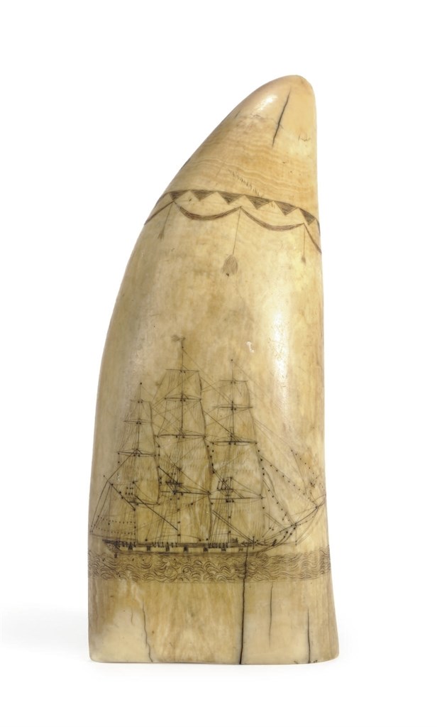 A SCRIMSHAW WHALE TOO0H