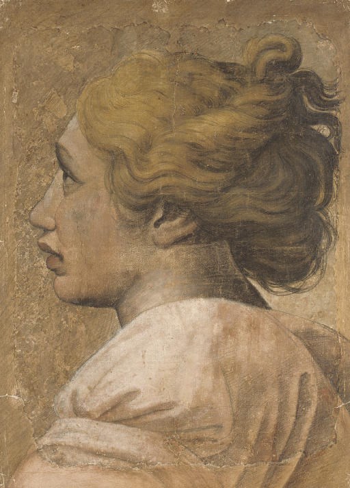 Northern Associate of Raffaello Sanzio, called Raphael (Urbino 1483-1520 Rome)