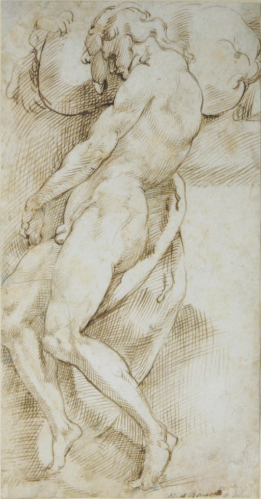 Bartolomeo Passarotti (Bologna 1529-1592)