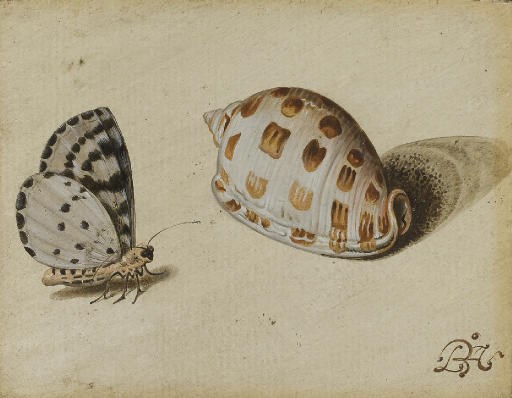 BALTHASAR VAN DER AST (MIDDELBURG 1593/4-1657 DELFT)